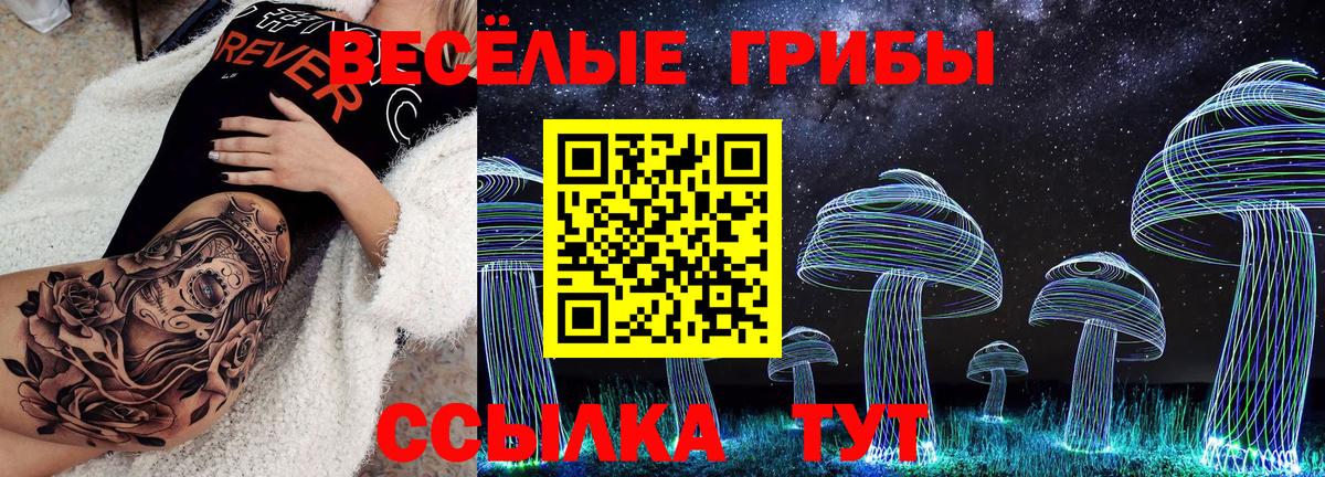 где купить наркоту  Псилоцибиновые грибы Magic Shrooms  Вход с VPN  Ессентуки 